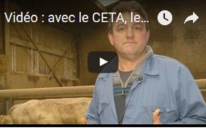 Avec le CETA, les éleveurs wallons redoutent la concurrence canadienne