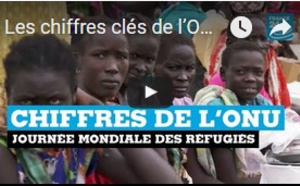 Les chiffres clés de l’ONU en cette "journée mondiale des réfugiés"