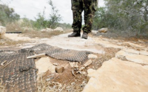 A Chypre, le braconnage "industriel" des oiseaux migrateurs