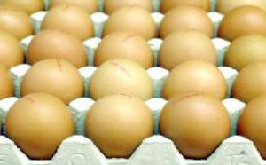 Alimentation : comparer le «bio» et le «non bio» n'a pas de sens Alimentation : comparer le «bio» et le «non bio» n'a pas de sens