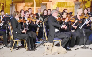 Insolite : Chien mélomane