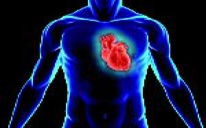 Un cœur artificiel pour les patients en attente de greffe Un cœur artificiel pour les patients en attente de greffe