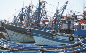 Progression de 7% de la production de la pêche côtière et artisanale en 2016