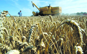 Hausse des prix mondiaux des  produits alimentaires en juin