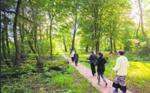 Un jardin suisse pour soigner des troubles psychiques en Pologne