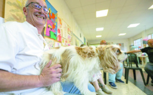 Des chiens pour soigner des malades mentaux