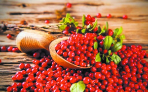 Les cranberries pour le bien-être intestinal