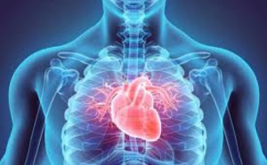 Nouvelle technique pour détecter une maladie  cardiovasculaire