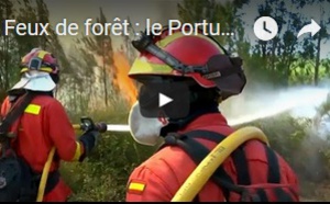 Feux de forêt : le Portugal reçoit des renforts d'Espagne