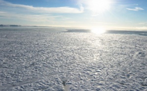 2016 année noire pour le climat