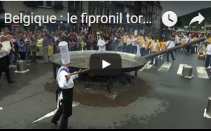 Belgique : le fipronil torpille la fête à l'omelette