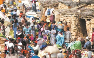 Le danger du blocage des prix en Côte d’Ivoire