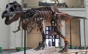 Insolite : Décapitation de dinosaures