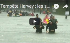 Tempête Harvey : les secours mobilisés