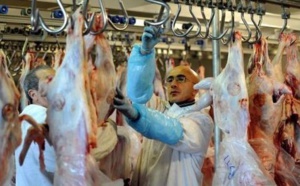 Ouverture de l'abattoir municipal de Tétouan à l'occasion de l'Aïd Al Adha