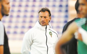 Prisme tactique : Renard ne sait sur quel système reposer