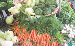 Le Maroc premier fournisseur de l’Espagne en fruits et légumes