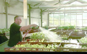 Des détenus en fin de peine se réadaptent à la ferme en France