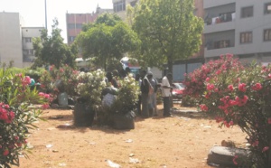 Expulsés de Nador et largués près de la gare routière de Casablanca