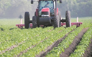 Les résultats de la campagne agricole  boostent la croissance économique