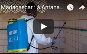 Madagascar : à Antananarivo, la difficile guerre contre la peste