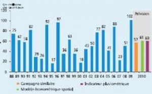 Même si les prévisions de Bank Al Maghrib sont conservatrices :  La production céréalière dépasserait les 60 millions de quintaux en 2010