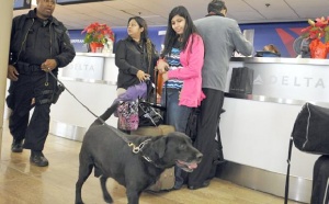 Attentat manqué sur le vol Amsterdam-Detroit : L'enquête se poursuit sur fond de renforcement des mesures de sécurité Attentat manqué sur le vol Amsterdam-Detroit : L'enquête se poursuit sur fond de renforcement des mesures de sécurité