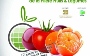 La région de Souss-Massa exporte au niveau national plus de 86% de primeurs et plus de 96% de tomates