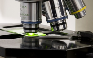 Nouvelle avancée dans l'édition génétique pour traiter des maladies incurables