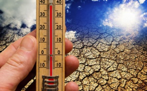 Le réchauffement climatique, seul responsable de la canicule en 2016
