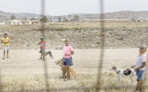 Dans le township d'Howick, les chiens comme antidote à la violence