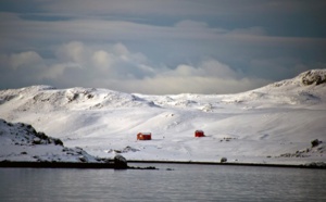Un reptile carnivore vivait en Antarctique voici 150 millions d'années