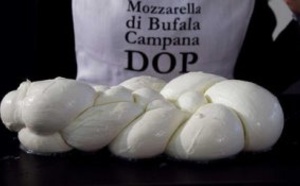 Insolite : Guerre  des mozzarella