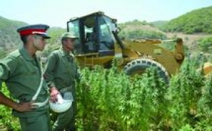 Devant la 53ème session de la Commission des stupéfiants de l’ONU : Le Maroc appelle au renforcement  de la coopération internationale