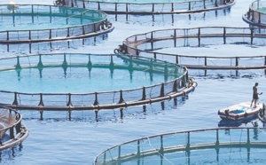 L’aquaculture, un relais de croissance du secteur halieutique