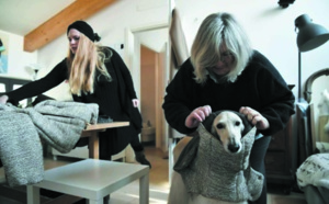 Milan, capitale de l'élégance également pour les chiens