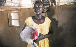Au Sénégal, les femmes gagnent en autonomie grâce à l'agriculture