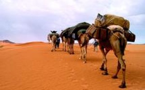 Le Sahara revisité : tourisme saharien et politique
