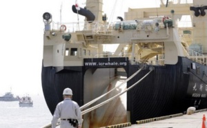 Le Japon décidé à poursuivre la chasse à la baleine