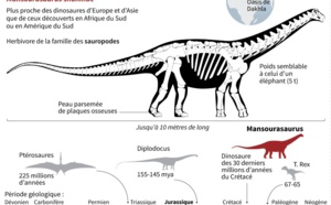 Découverte d'un  dinosaure égyptien, très européen