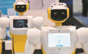 Insolite : Un robot impertinent