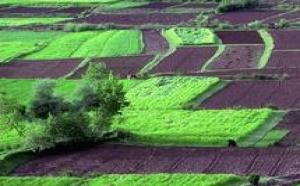 Avec un taux de croissance de 7,8% durant le 4ème trimestre 2009 : L’économie marocaine sur les sillons de la croissance