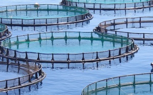 Pour une valorisation de l’aquaculture dans le Souss-Massa