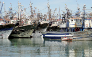 Les professionnels marocains et espagnols de la pêche en conclave à Dakhla