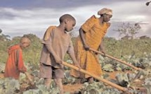 Accaparement des terres agricoles en Afrique : efficacité ou respect des droits ?