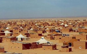 Les violations des droits des enfants dans les camps de Tindouf dénoncées à Salvador de Bahia
