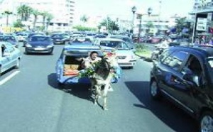 «Al Khattaf», (Le clandestin),  nouveau  film de Saïd Naciri : De l’humour à gogo