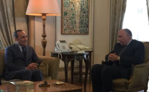 Habib El Malki : Les relations entre le Maroc et l'Egypte sont bonnes et séculaires