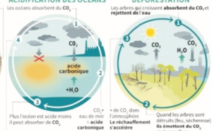 Même un réchauffement de 2°C aura une incidence importante