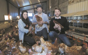 En France, une “maison de retraite” pour les poules sauvées de l'abattoir